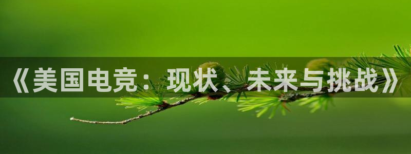 南宫电竞网