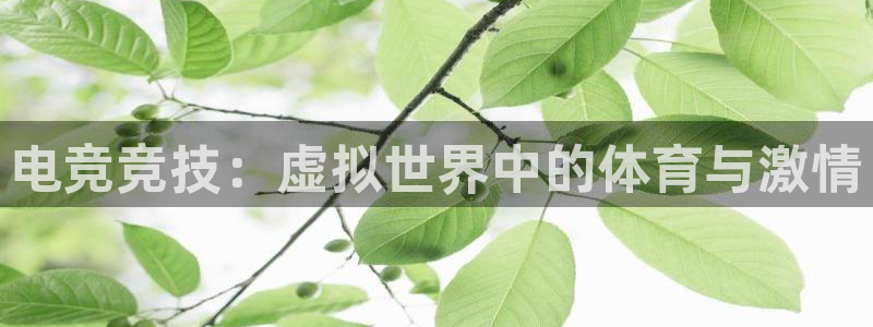 南宫电竞官网