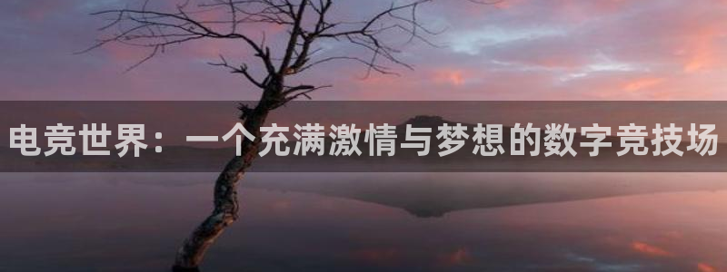 南宫电竞官网