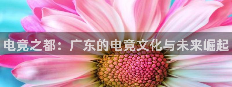 南宫电竞官网