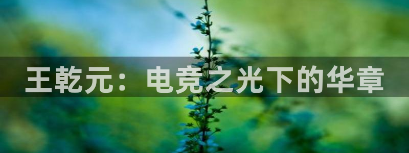 南宫电竞app
