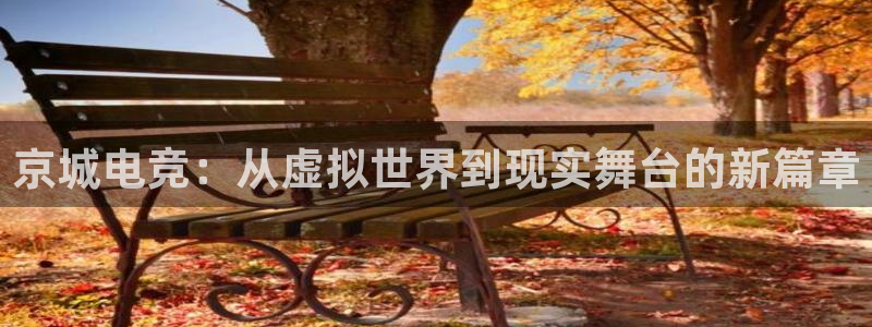 南宫电竞官网：京城电竞：从虚拟世界到现实舞台的新篇章