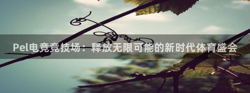 南宫电竞登陆：Pel电竞竞技场：释放无限可能的新时代体育盛会