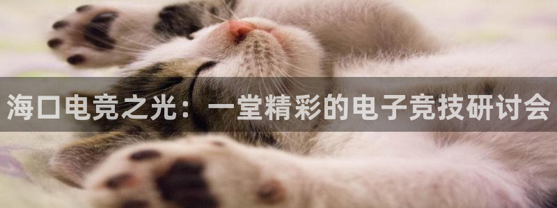 南宫电竞平台