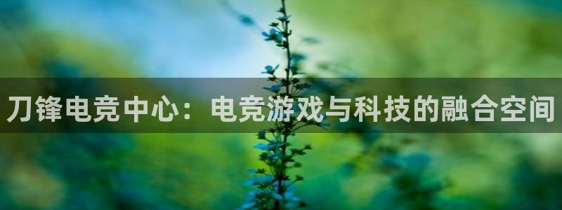 南宫电竞注册