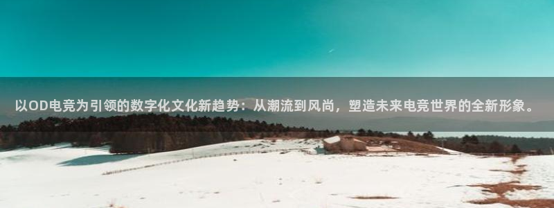 南宫电竞app