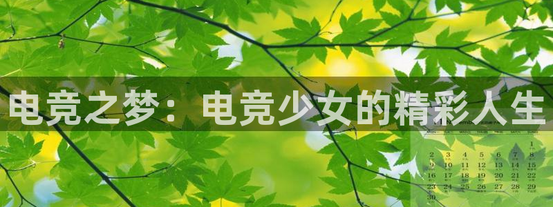 南宫电竞官网