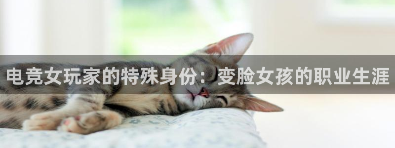 南宫电竞平台