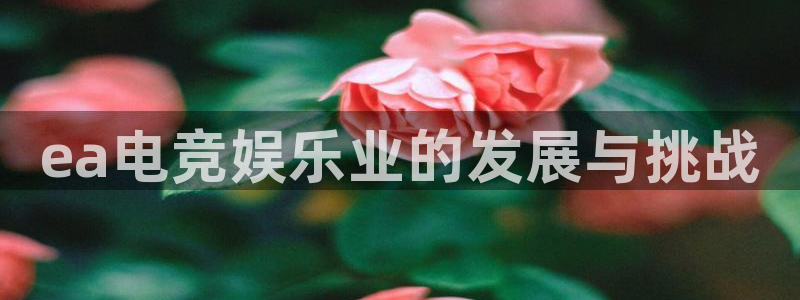 南宫电竞