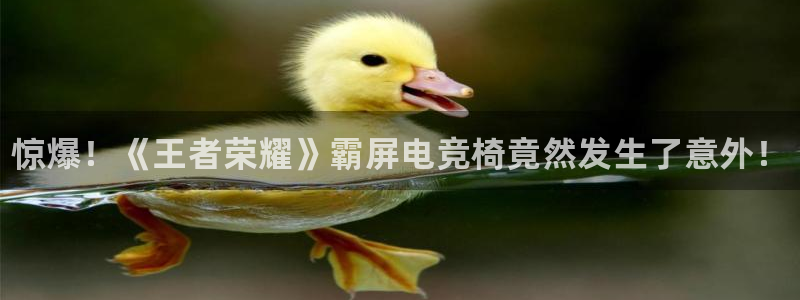 南宫电竞网
