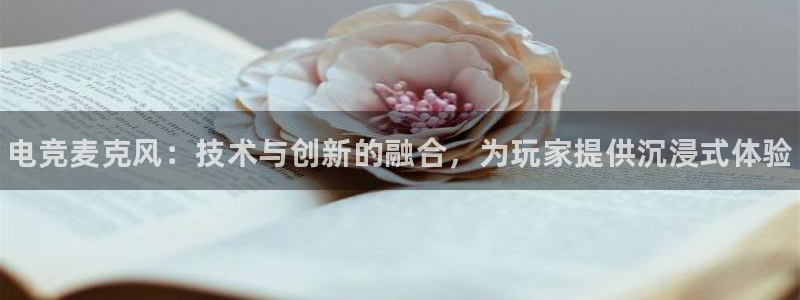 南宫电竞官网