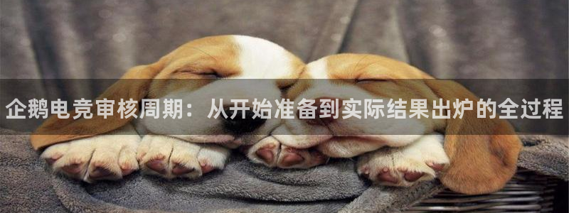 南宫电竞官网：企鹅电竞审核周期：从开始准备到实际结果出炉的全过程