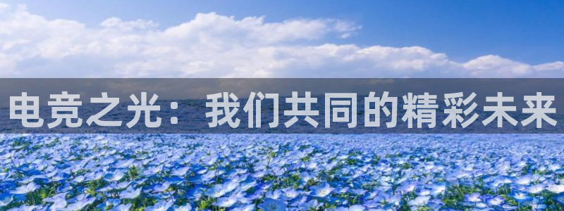 南宫电竞官网