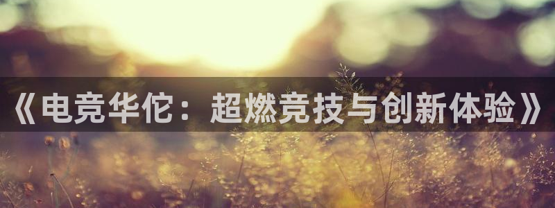 南宫电竞app：《电竞华佗：超燃竞技与创新体验》