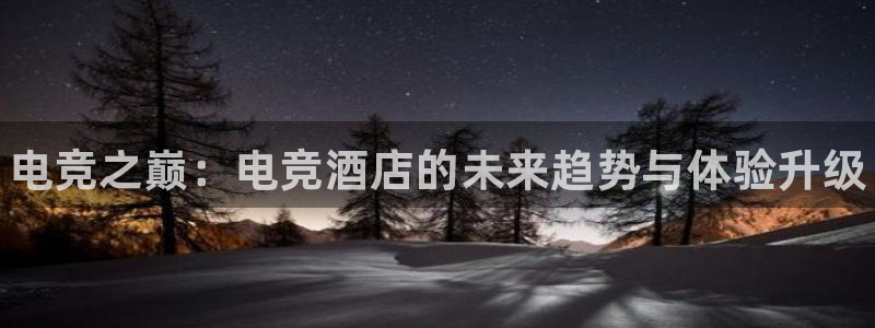 南宫电竞贴吧：电竞之巅：电竞酒店的未来趋势与体验升级