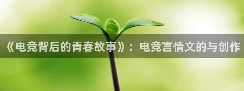 南宫电竞贴吧：《电竞背后的青春故事》：电竞言情文的与创作