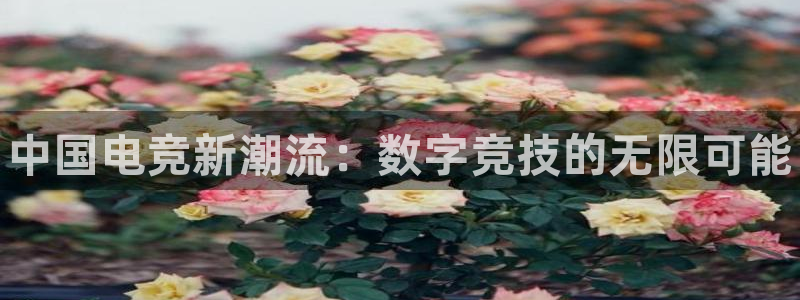 南宫电竞登陆：中国电竞新潮流：数字竞技的无限可能