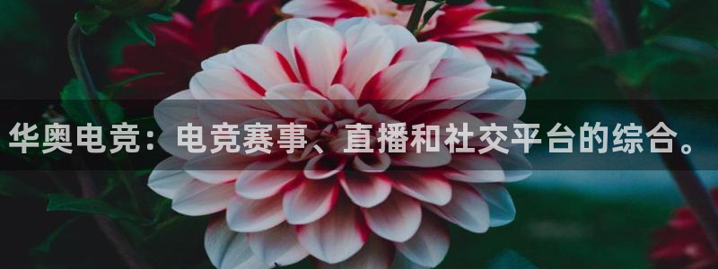 南宫电竞网：华奥电竞：电竞赛事、直播和社交平台的综合。