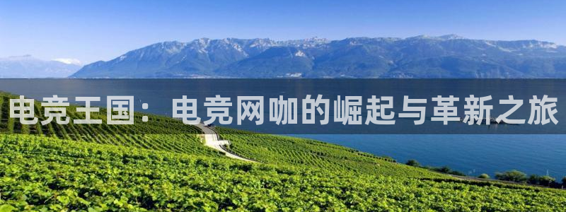 南宫电竞注册：电竞王国：电竞网咖的崛起与革新之旅