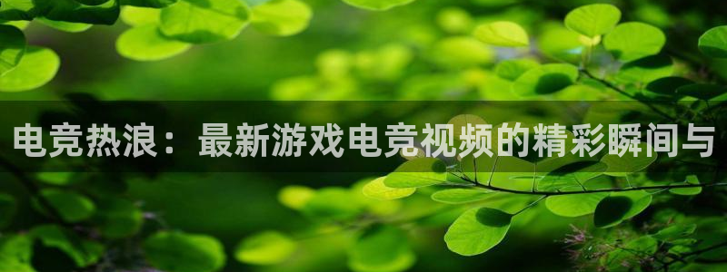 南宫电竞登陆：电竞热浪：最新游戏电竞视频的精彩瞬间与