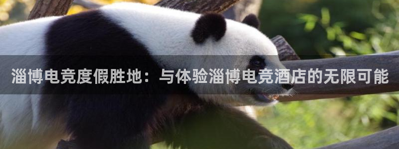 南宫电竞平台：淄博电竞度假胜地：与体验淄博电竞酒店的无限可能