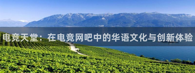 南宫电竞登陆：电竞天堂：在电竞网吧中的华语文化与创新体验