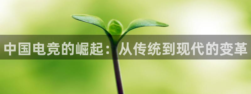 南宫电竞app：中国电竞的崛起：从传统到现代的变革