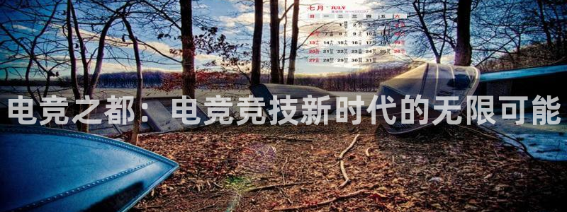 南宫电竞官网：电竞之都：电竞竞技新时代的无限可能