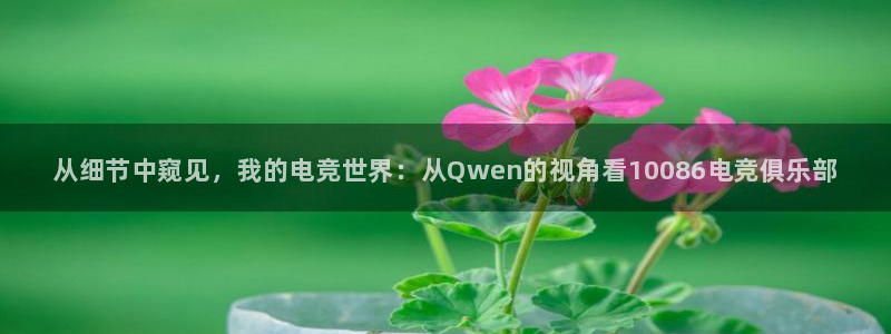 南宫电竞贴吧：从细节中窥见，我的电竞世界：从Qwen的视角看10086电竞俱乐部