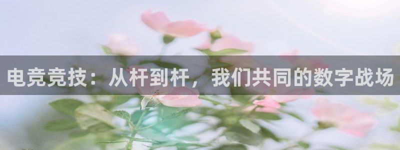 南宫电竞网：电竞竞技：从杆到杆，我们共同的数字战场