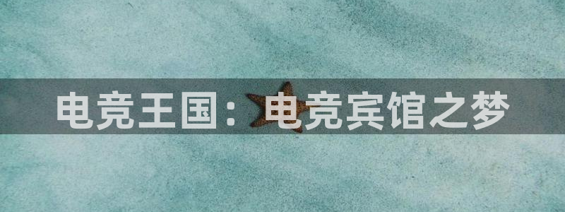 南宫电竞网：电竞王国：电竞宾馆之梦