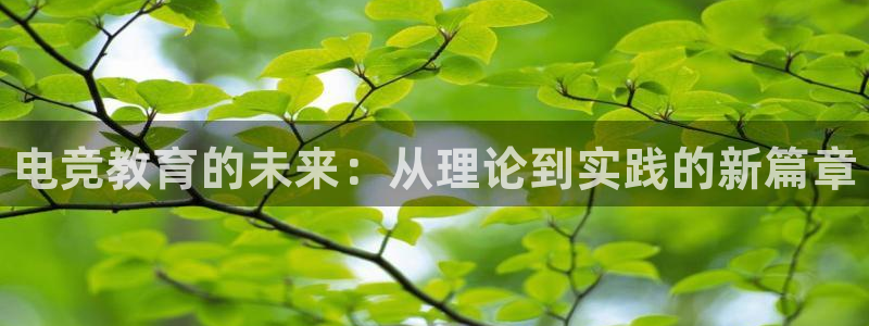 南宫电竞：电竞教育的未来：从理论到实践的新篇章