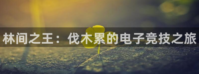南宫电竞app：林间之王：伐木累的电子竞技之旅