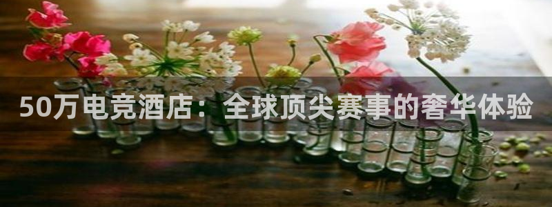 南宫电竞