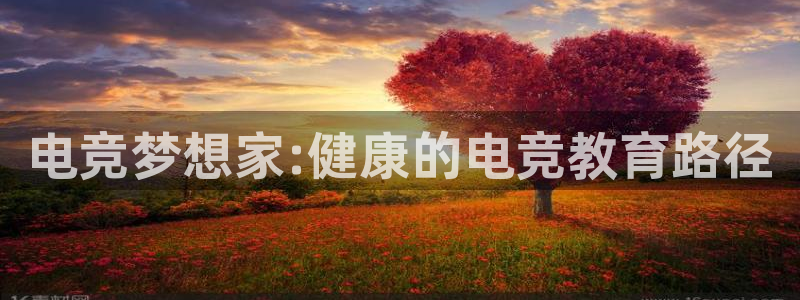 南宫电竞app：电竞梦想家:健康的电竞教育路径