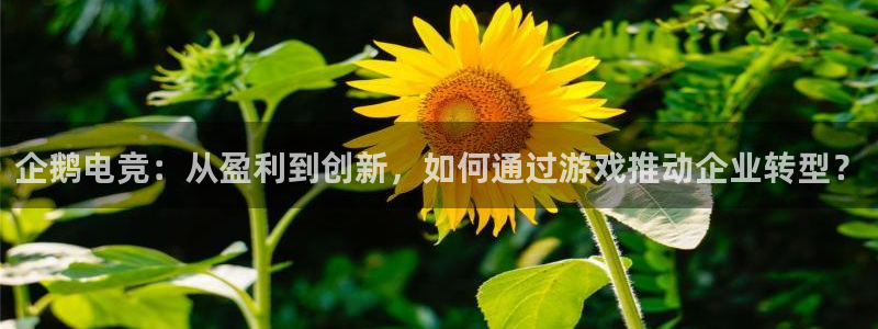 南宫电竞登陆：企鹅电竞：从盈利到创新，如何通过游戏推动企业转型？
