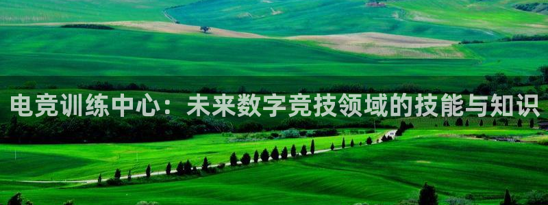 南宫电竞app：电竞训练中心：未来数字竞技领域的技能与知识