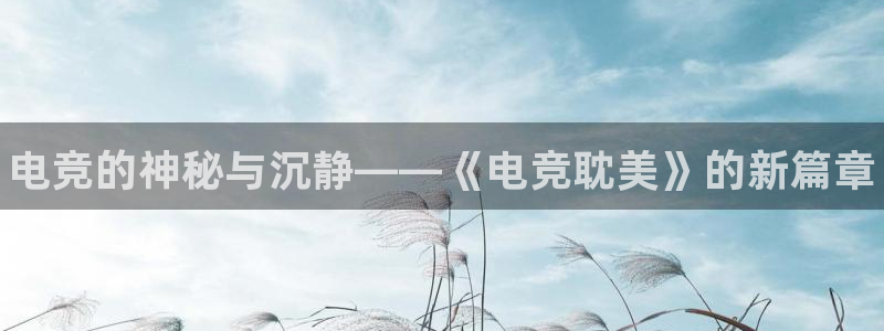 南宫电竞app：电竞的神秘与沉静——《电竞耽美》的新篇章