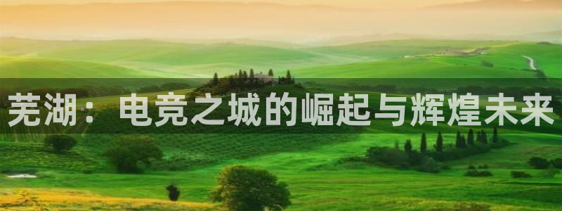 南宫电竞贴吧：芜湖：电竞之城的崛起与辉煌未来