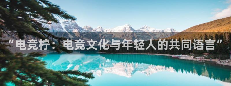 南宫电竞贴吧：“电竞柠：电竞文化与年轻人的共同语言”