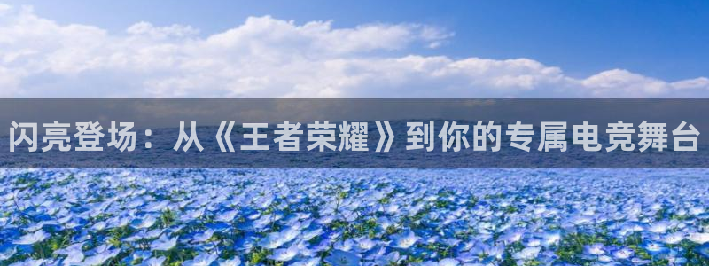 南宫电竞注册：闪亮登场：从《王者荣耀》到你的专属电竞舞台