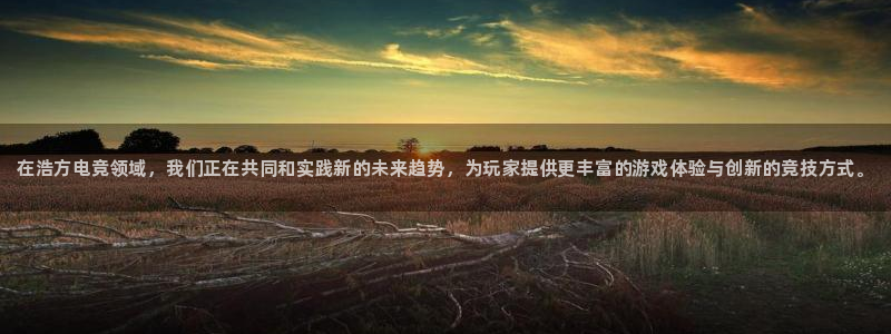 南宫电竞官网：在浩方电竞领域，我们正在共同和实践新的未来趋势，为玩家提供更丰富的游戏体验与创新的竞技方式。