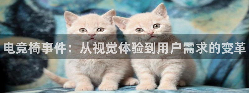 南宫电竞网：电竞椅事件：从视觉体验到用户需求的变革