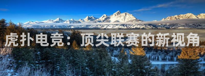 南宫电竞官网：虎扑电竞：顶尖联赛的新视角