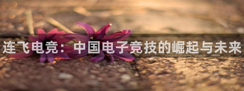 南宫电竞网：连飞电竞：中国电子竞技的崛起与未来
