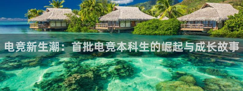 南宫电竞app：电竞新生潮：首批电竞本科生的崛起与成长故事