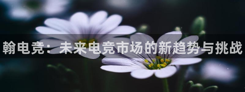 南宫电竞app：翰电竞：未来电竞市场的新趋势与挑战