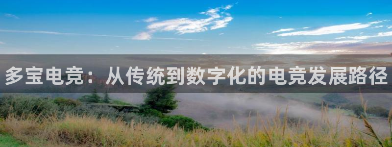 南宫电竞官网：多宝电竞：从传统到数字化的电竞发展路径