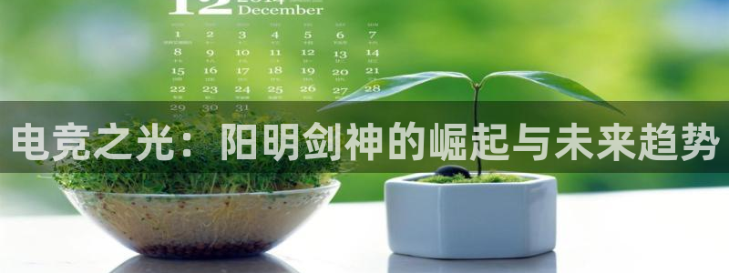 南宫电竞贴吧：电竞之光：阳明剑神的崛起与未来趋势