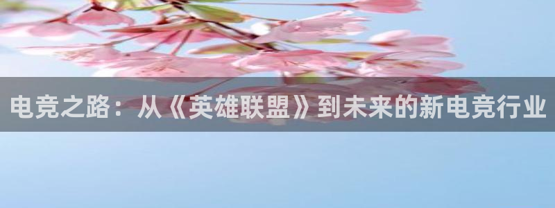 南宫电竞注册：电竞之路：从《英雄联盟》到未来的新电竞行业